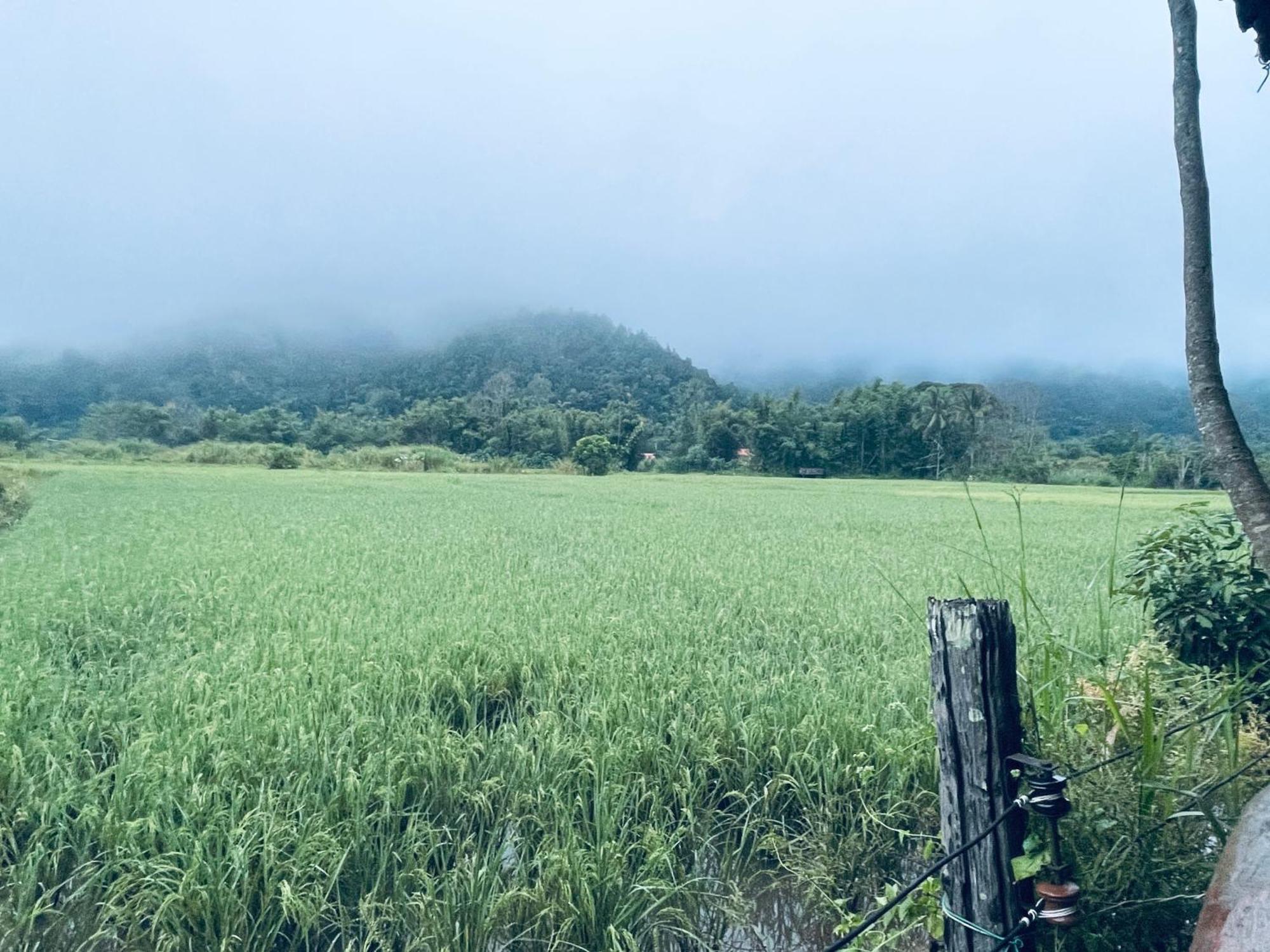 บ้านสวนวิวทุ่ง Ban Mae Sap Nua Exteriér fotografie