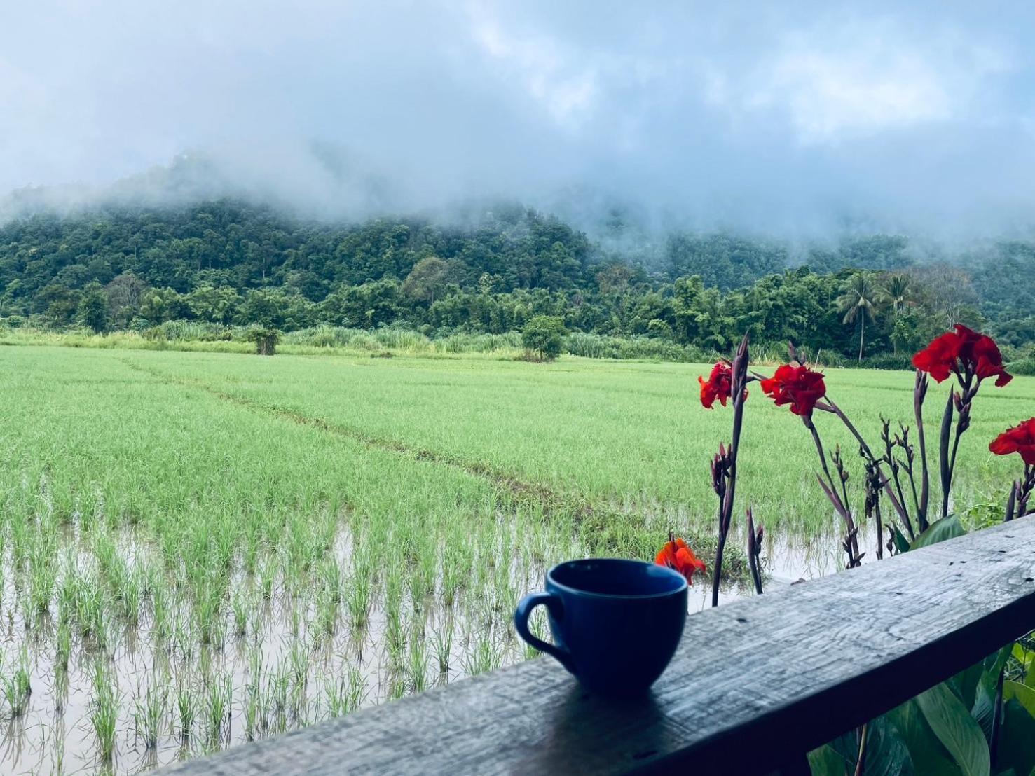 บ้านสวนวิวทุ่ง Ban Mae Sap Nua Exteriér fotografie