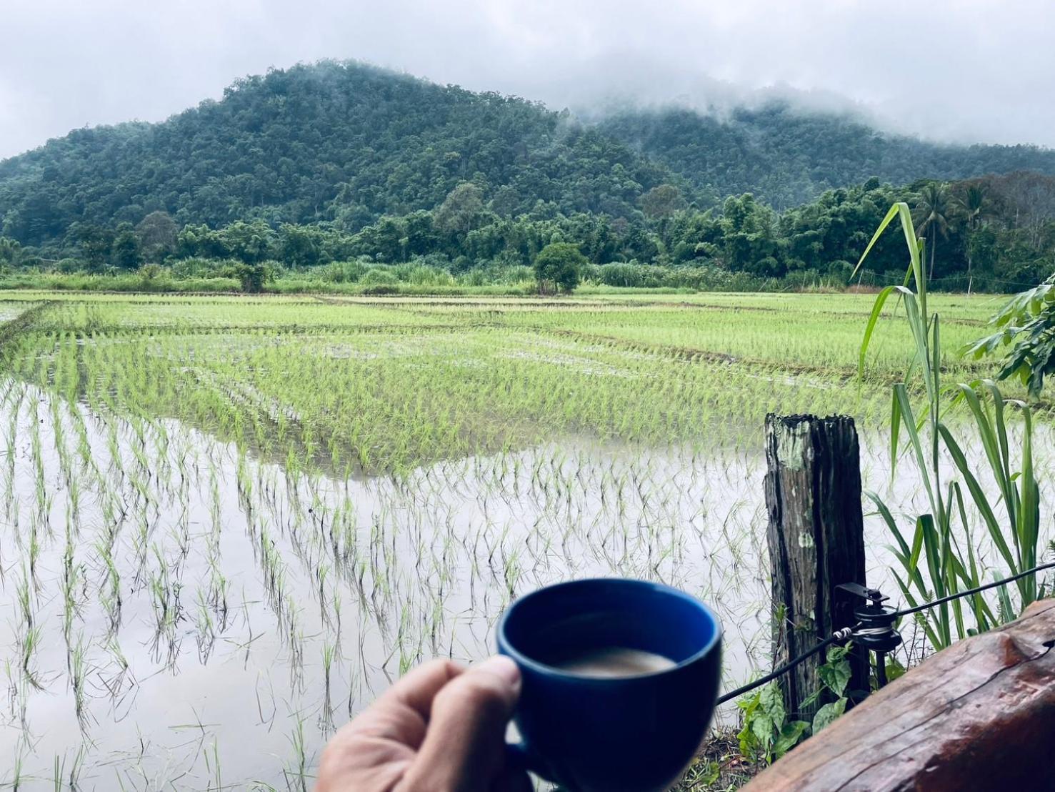 บ้านสวนวิวทุ่ง Ban Mae Sap Nua Exteriér fotografie