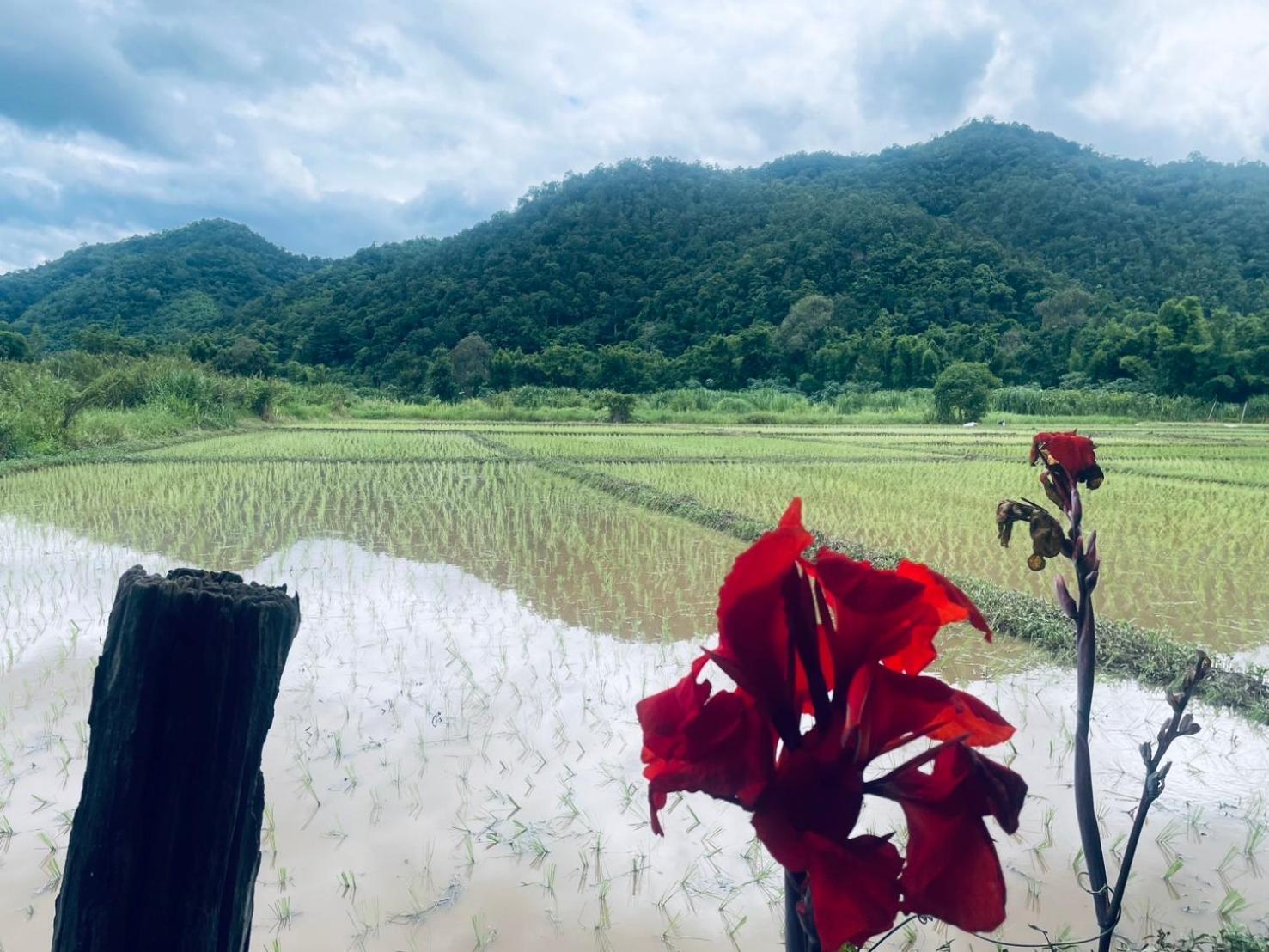 บ้านสวนวิวทุ่ง Ban Mae Sap Nua Exteriér fotografie