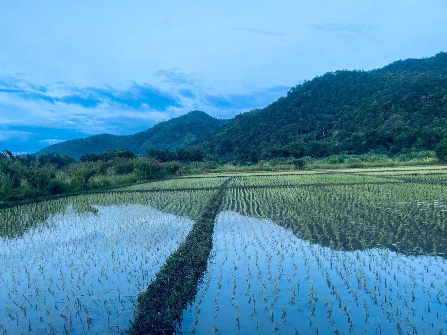 บ้านสวนวิวทุ่ง Ban Mae Sap Nua Exteriér fotografie