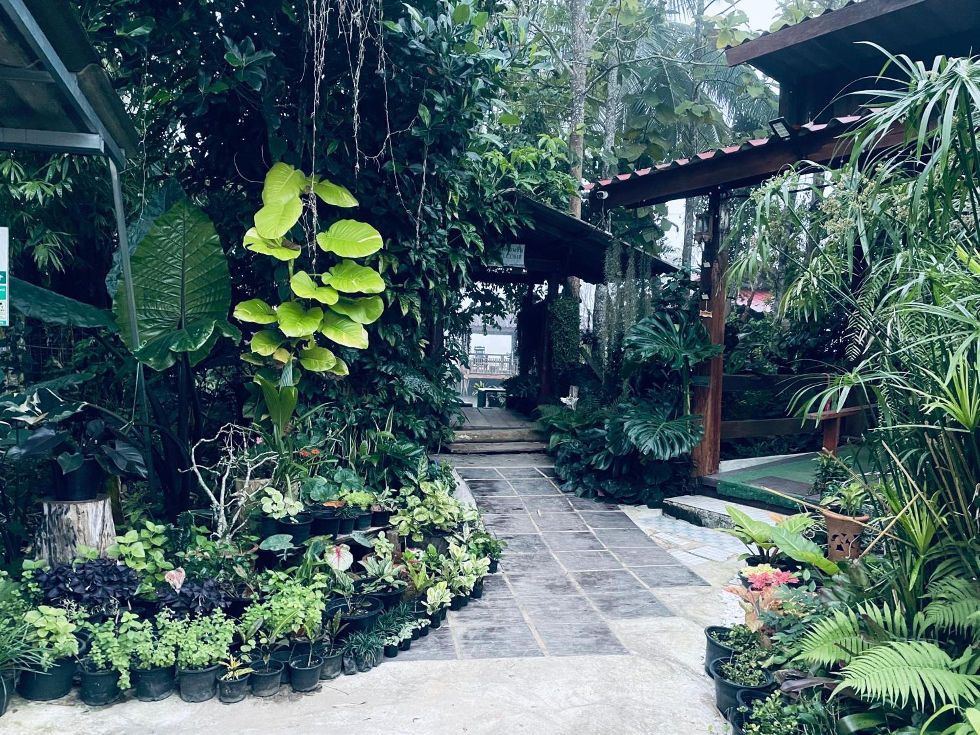 บ้านสวนวิวทุ่ง Ban Mae Sap Nua Exteriér fotografie