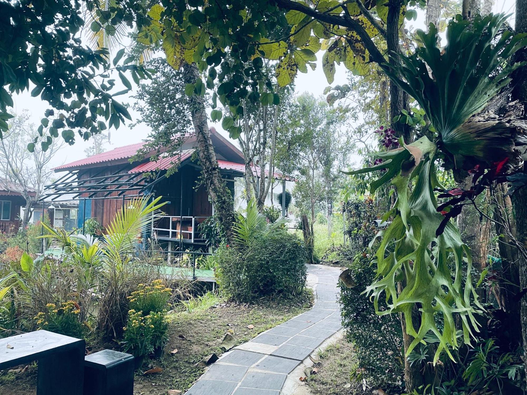 บ้านสวนวิวทุ่ง Ban Mae Sap Nua Exteriér fotografie